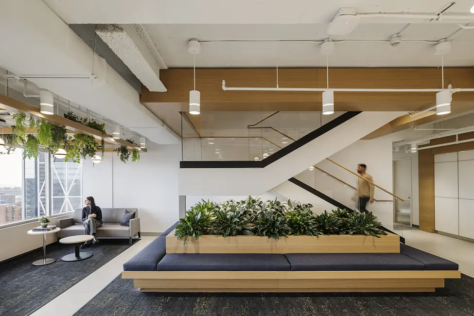 Seating Area with Plants, stairway