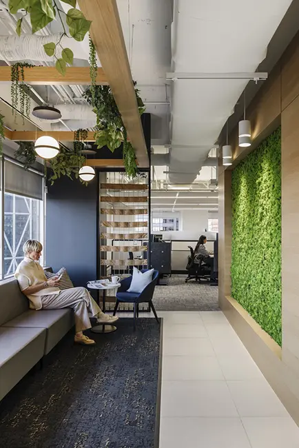 living wall, green wall, Plants